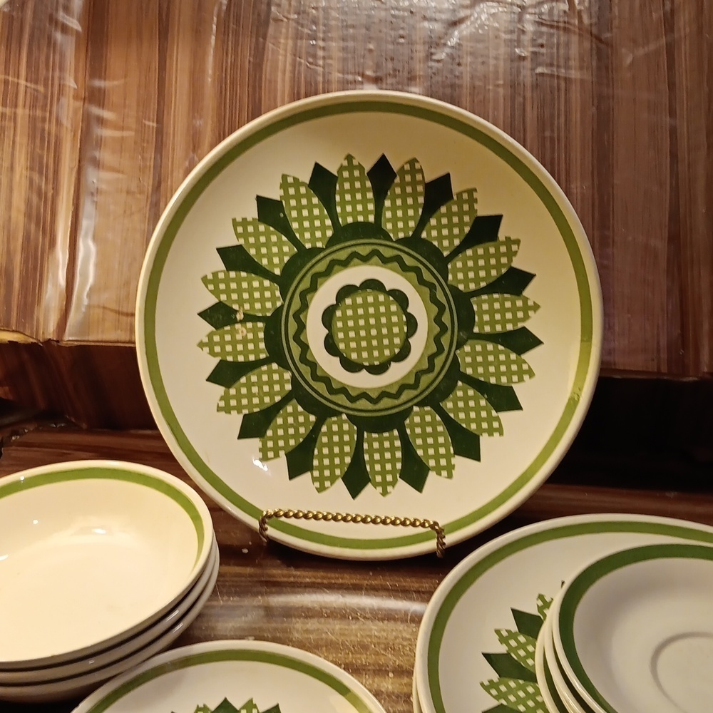Vintage 1970s Cavalier Ironstone USA 🇺🇸 Prarie Flower Mint design Royal China